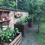 - Garden - 2 *
