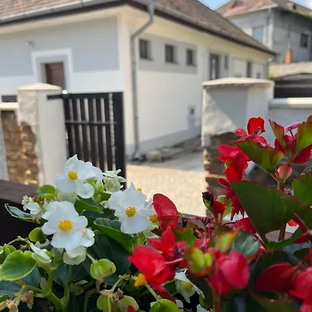 - Garden - Vendeghaz 2 Nesvady