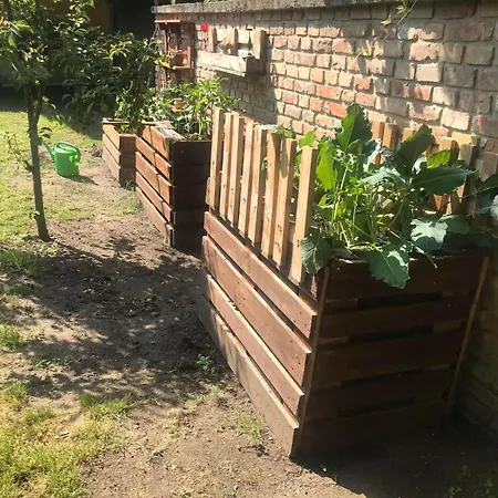 - Garden - Vendeghaz 2 Nesvady