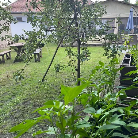 - Garden - Vendeghaz 2 *