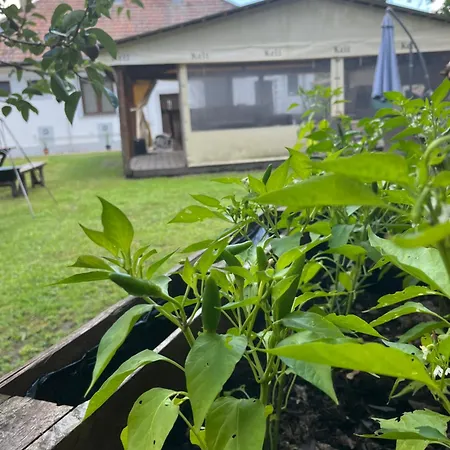 - Garden - Vendeghaz 2 Apartmán *