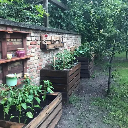 - Garden - Vendeghaz 2 *