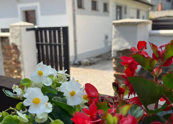 - Garden - Vendeghaz 2 Nesvady