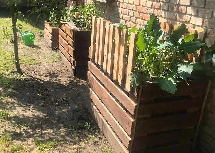 - Garden - Vendeghaz 2 Nesvady