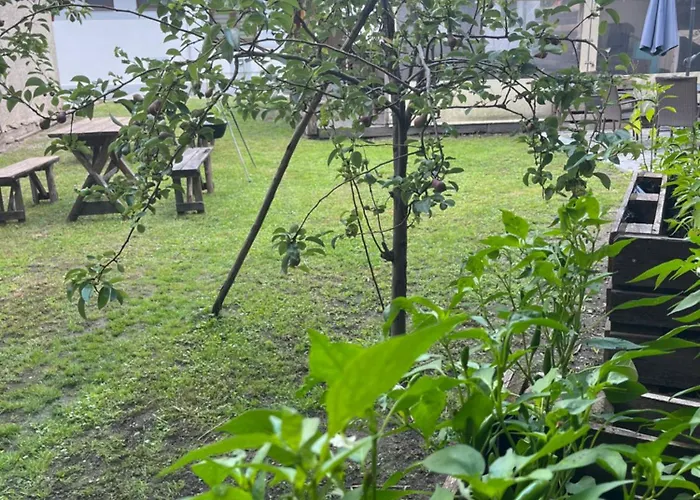 - Garden - Vendeghaz 2 *